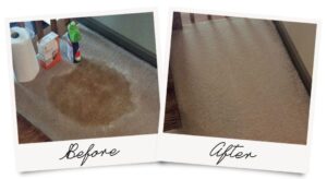 Deep Carpet cleaning services Steam Bright Carpet Cleaning Services in UK